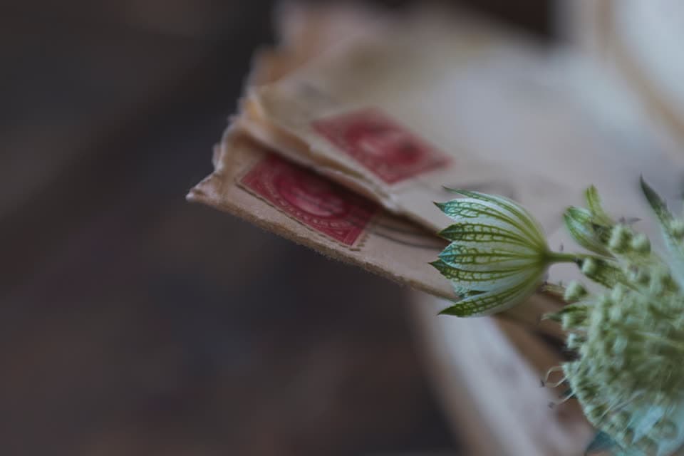 Alte Briefumschläge mit roten Briefmarken neben einer Blüte